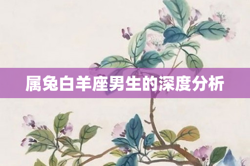 属兔白羊座男生的深度分析