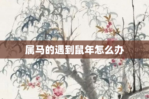 属马的遇到鼠年怎么办