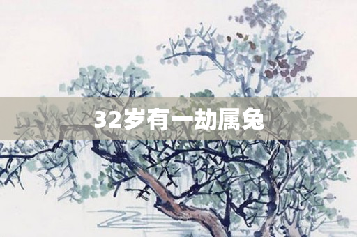 32岁有一劫属兔