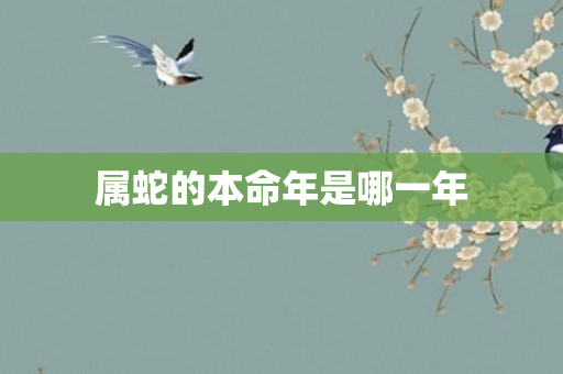 属蛇的本命年是哪一年