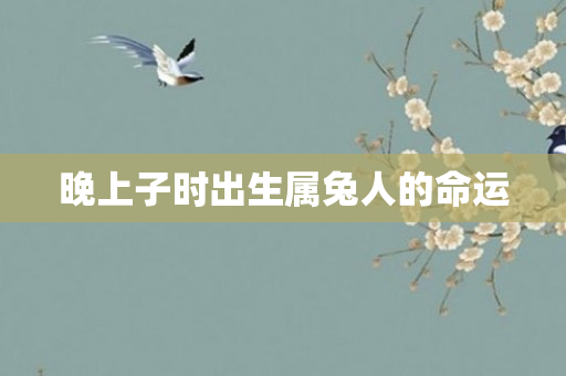 晚上子时出生属兔人的命运