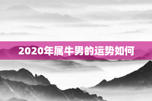 2020年属牛男的运势如何