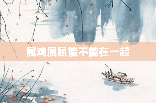属鸡属鼠能不能在一起