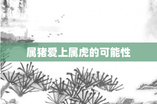 属猪爱上属虎的可能性