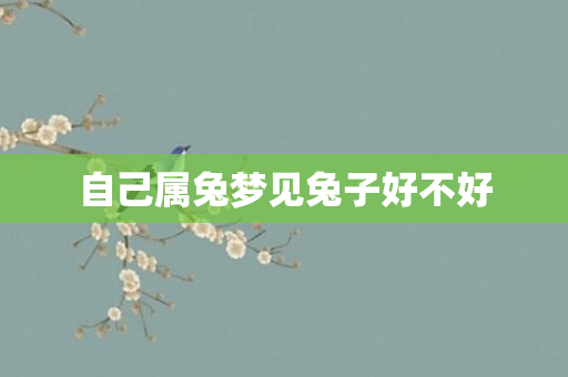自己属兔梦见兔子好不好