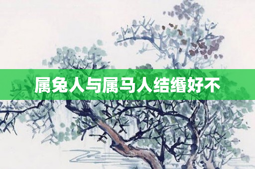 属兔人与属马人结缗好不
