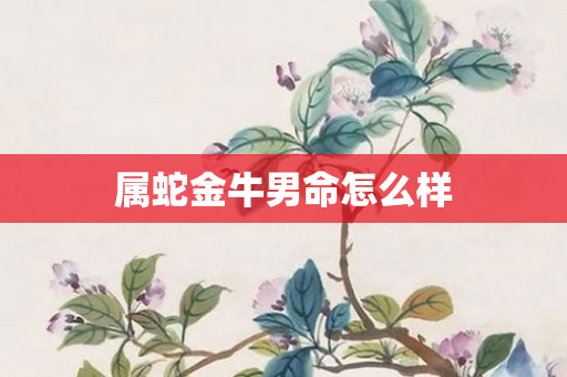 属蛇金牛男命怎么样