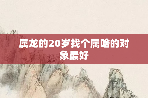 属龙的20岁找个属啥的对象更好