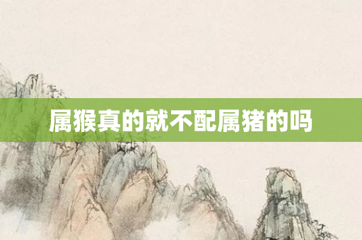 属猴真的就不配属猪的吗