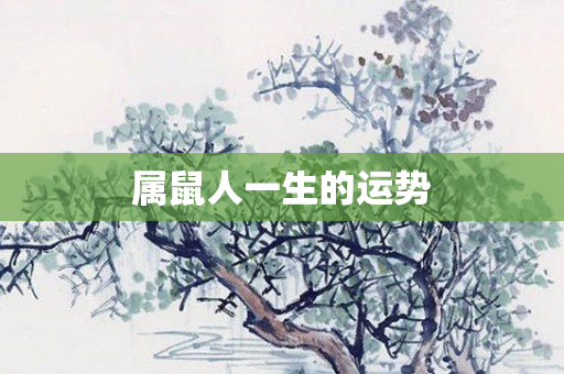 属鼠人一生的运势