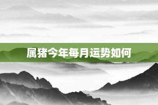 属猪今年每月运势如何