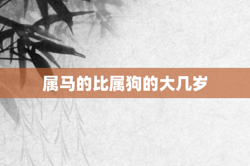 属马的比属狗的大几岁