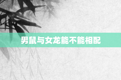 男鼠与女龙能不能相配