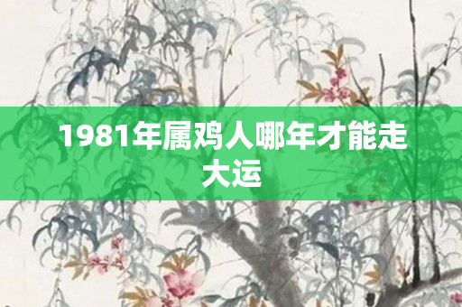 1981年属鸡人哪年才能走大运