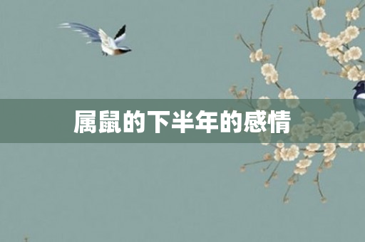 属鼠的下半年的感情