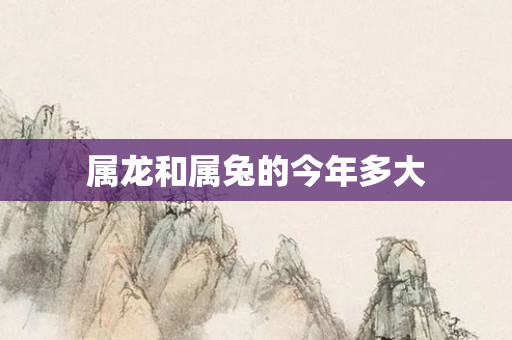 属龙和属兔的今年多大