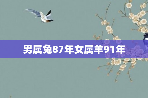 男属兔87年女属羊91年