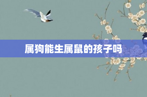 属狗能生属鼠的孩子吗