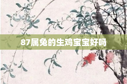 87属兔的生鸡宝宝好吗