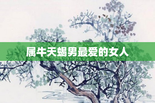 属牛天蝎男更爱的女人