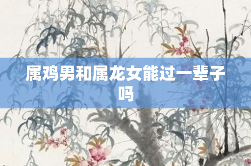 属鸡男和属龙女能过一辈子吗