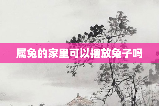 属兔的家里可以摆放兔子吗