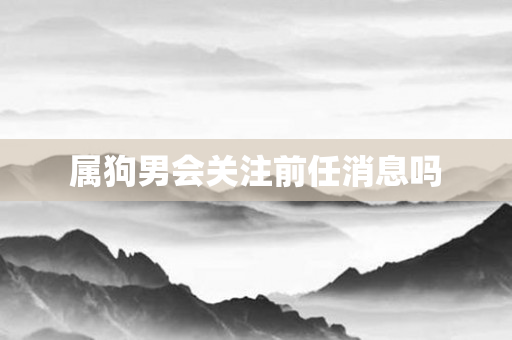 属狗男会关注前任消息吗