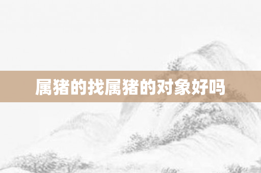 属猪的找属猪的对象好吗