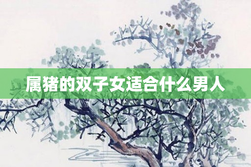 属猪的双子女适合什么男人
