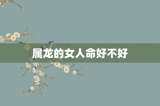 属龙的女人命好不好