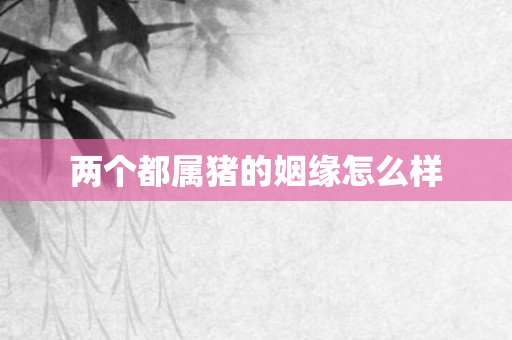 两个都属猪的姻缘怎么样