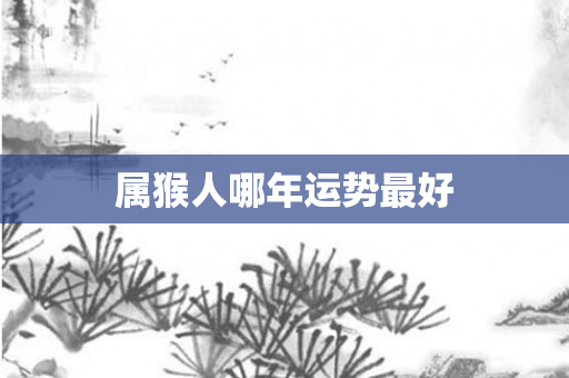 属猴人哪年运势更好
