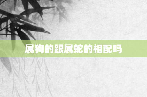 属狗的跟属蛇的相配吗