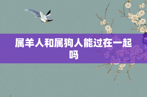 属羊人和属狗人能过在一起吗
