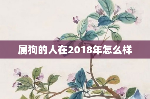 属狗的人在2018年怎么样