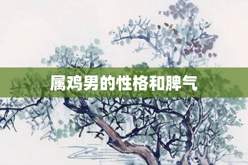 属鸡男的性格和脾气