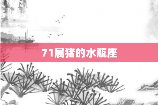 71属猪的水瓶座
