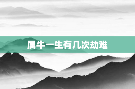 属牛一生有几次劫难
