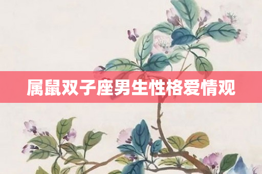 属鼠双子座男生性格爱情观