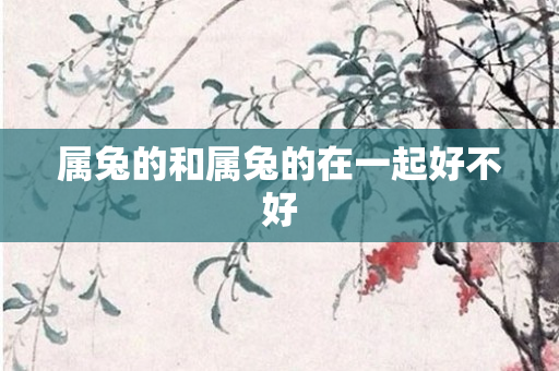 属兔的和属兔的在一起好不好
