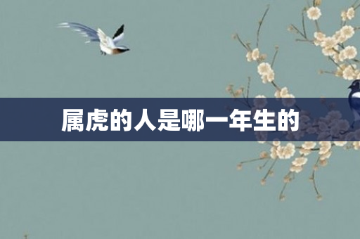 属虎的人是哪一年生的