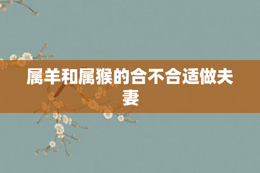 属羊和属猴的合不合适做夫妻