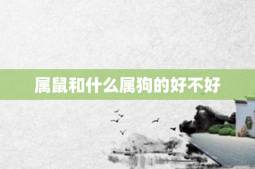 属鼠和什么属狗的好不好