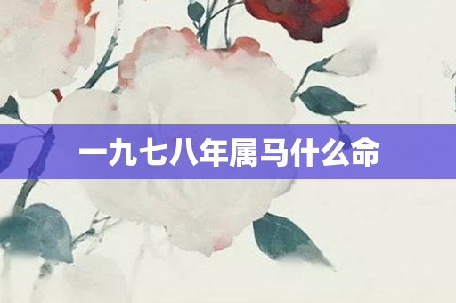 一九七八年属马什么命