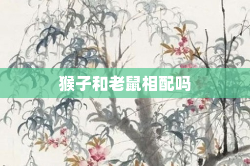猴子和老鼠相配吗