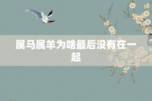 属马属羊为啥最后没有在一起