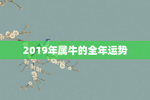 2019年属牛的全年运势