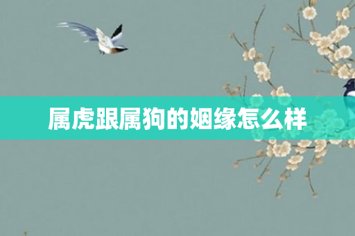 属虎跟属狗的姻缘怎么样