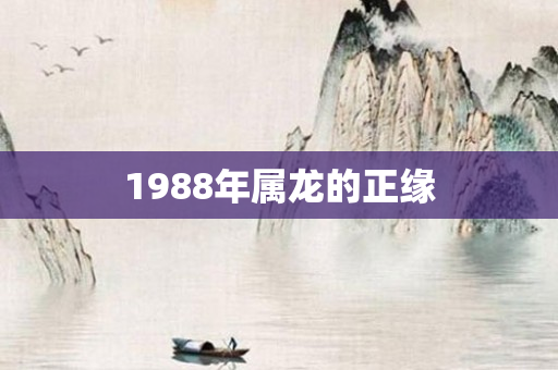 1988年属龙的正缘