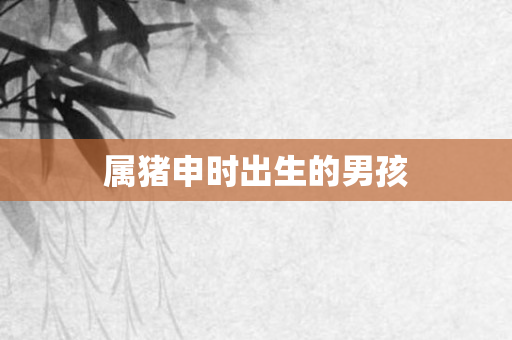 属猪申时出生的男孩